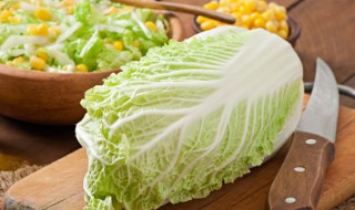 小白菜怎么保鲜 小白菜的保鲜方法
