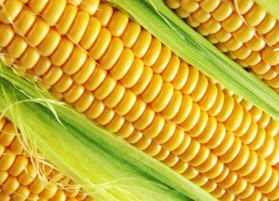 新鲜玉米怎么存放时间长 嫩玉米长时间保存方法