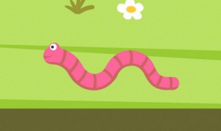 蚯蚓能生吃吗 蚯蚓可以生吃吗