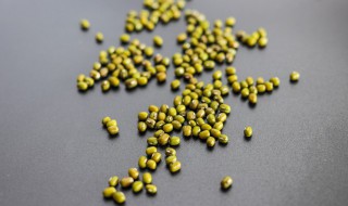 绿豆适合什么季节播种 绿豆适合播种的季节