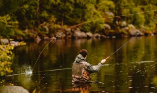 怎样判断黑坑钓鱼时间点 黑坑钓鱼时一定要严格选择垂钓时间段