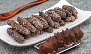 怎样分辨海参好坏 分辨海参品质好坏的方法介绍