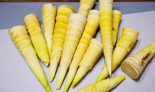 新鲜小笋怎么长期保鲜储存 新鲜小笋如何长期保鲜储存