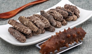 海参能生吃吗 海参能不能生吃呢