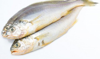 鱼和牛奶能一起吃吗 鱼和牛奶能不能一起吃