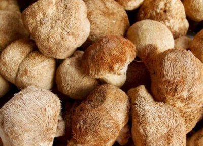 猴头菇怎么去苦味 去猴头菇苦涩味最简单办法