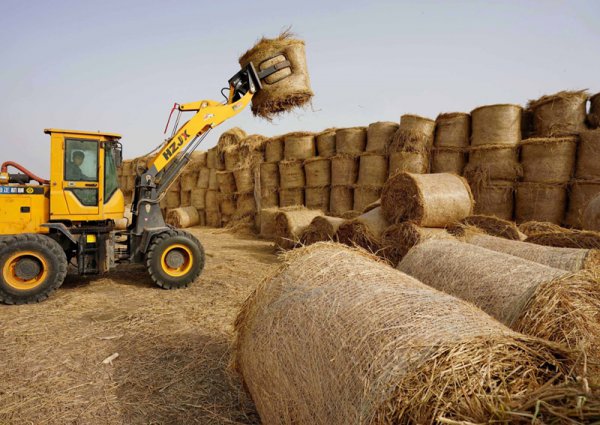 禁止烧秸秆是谁提出来的