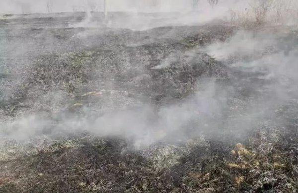 禁止烧秸秆是谁提出来的