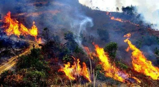 禁止烧秸秆是谁提出来的