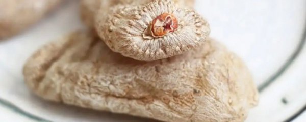 怎么分辨天麻的好坏