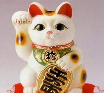 家里养猫对财运好不好