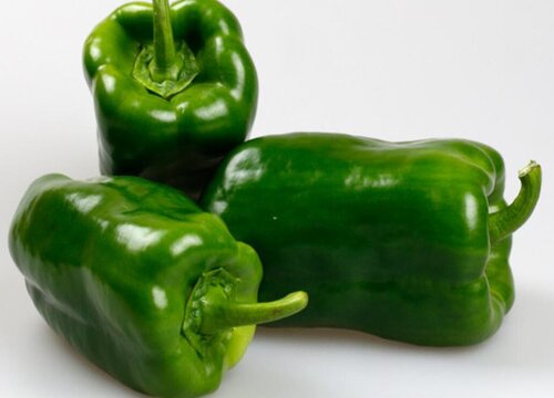 圆椒亩产量多少斤