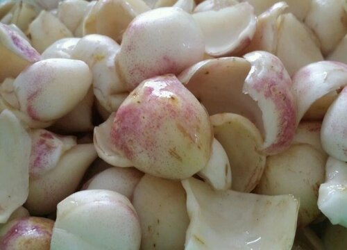 百合怎么洗才干净