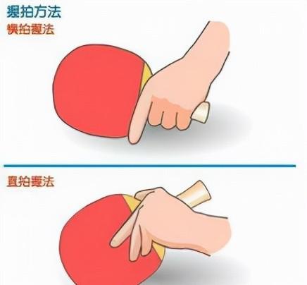 乒乓球直拍和横拍的区别