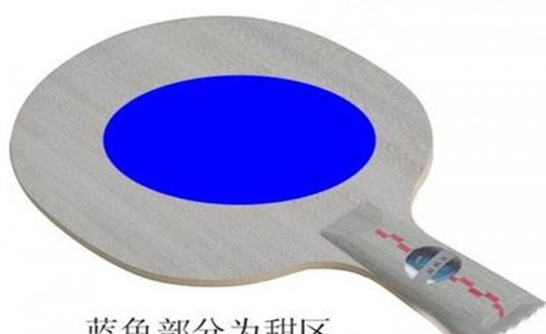 乒乓球直拍和横拍的区别