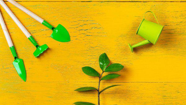 普通会计一个月多少钱