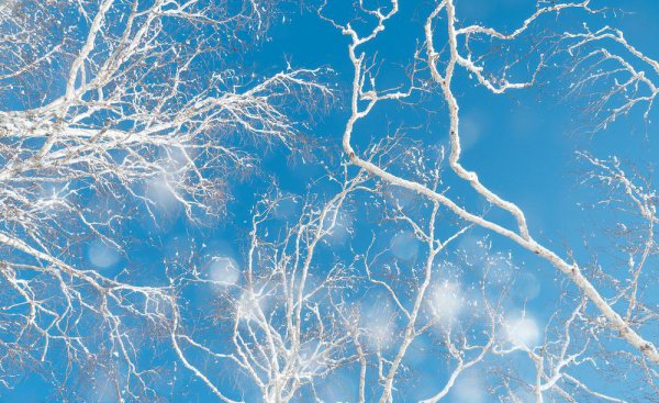 手机白平衡怎么设置最好用