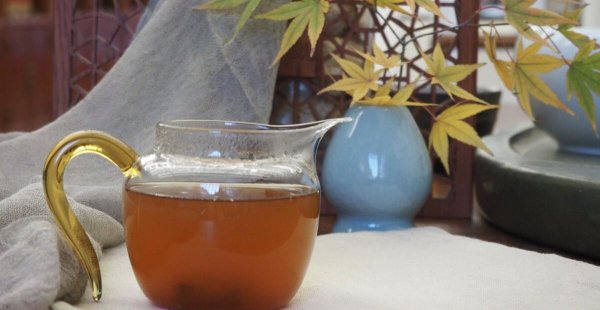 驱赶苍蝇的最佳方法和东西