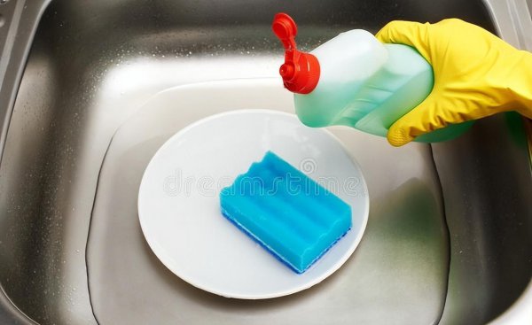 驱赶苍蝇的最佳方法和东西