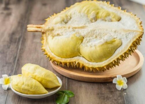 榴莲种子怎么种植方法