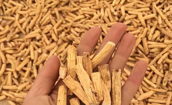 党参是什么样子的图片