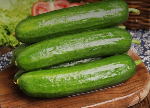 黄瓜种子催芽方法