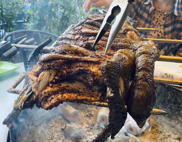 宁南县属于哪个市