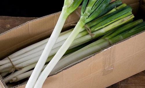 成捆大葱怎么保存时间最长