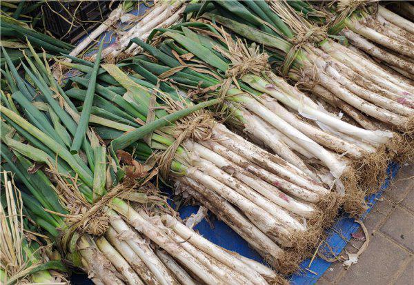 成捆大葱怎么保存时间最长