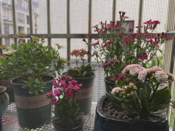 家里返潮严重怎么处理