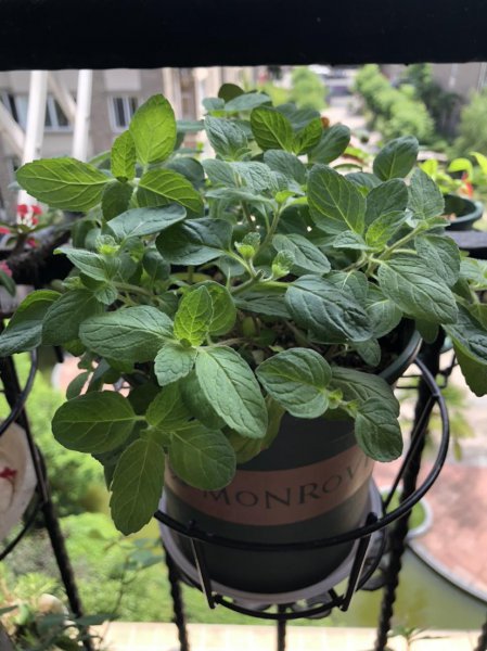 家里返潮严重怎么处理