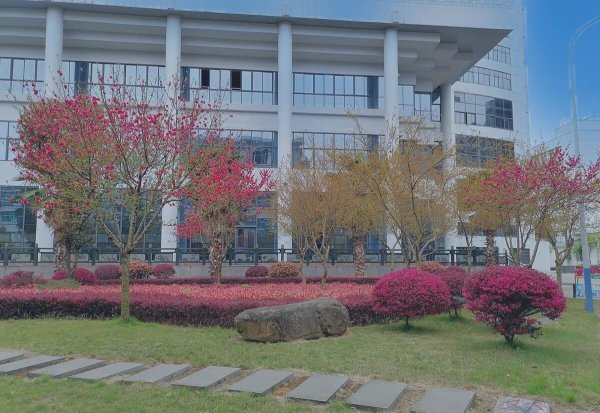 附属学校是什么意思