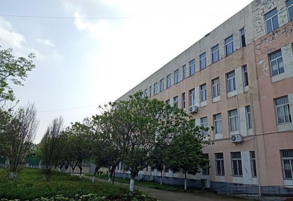 附属学校是什么意思