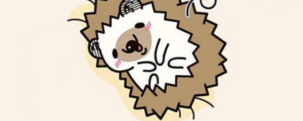 遇到刺猬代表什么预兆