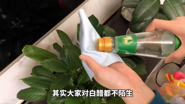 电视机屏幕怎么擦干净