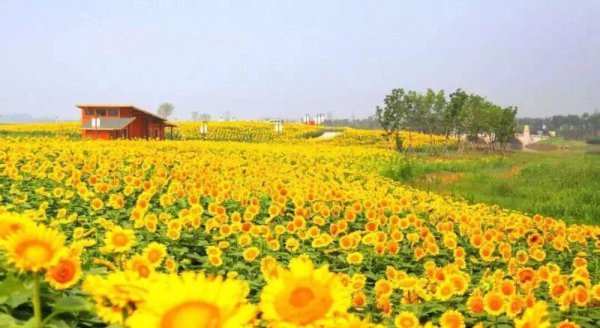 江苏淮安几线城市