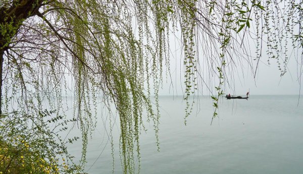 踏青的意思是什么