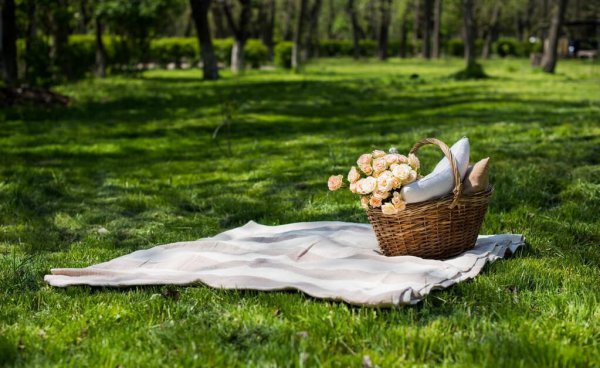 踏青的意思是什么