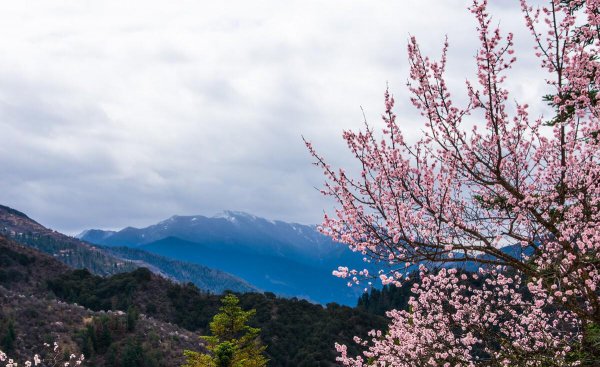 踏青的意思是什么