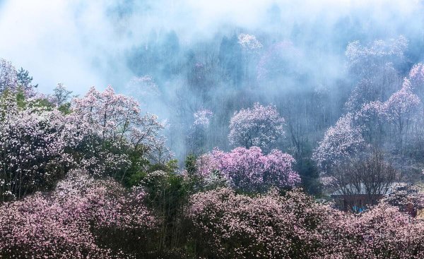 踏青的意思是什么