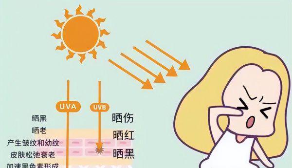 spf15可以防晒多久