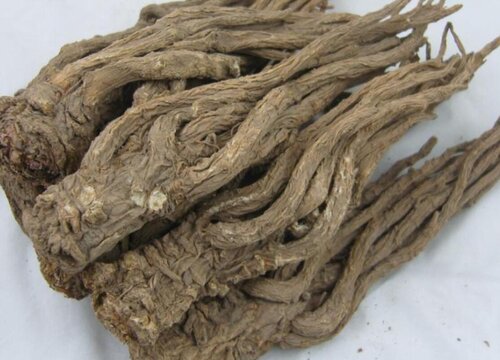 如何挑选当归的好坏 哪种当归质量最好