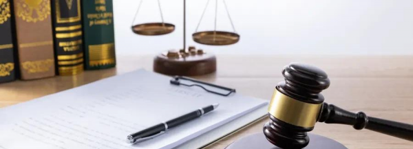 基本农田建养殖场算违建吗