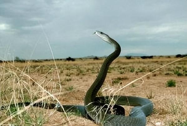 世界上三大恐怖水域