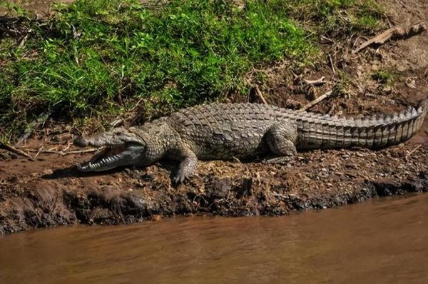 世界上三大恐怖水域