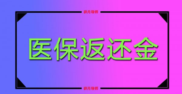 自费社保一年一交还是每月交更划算