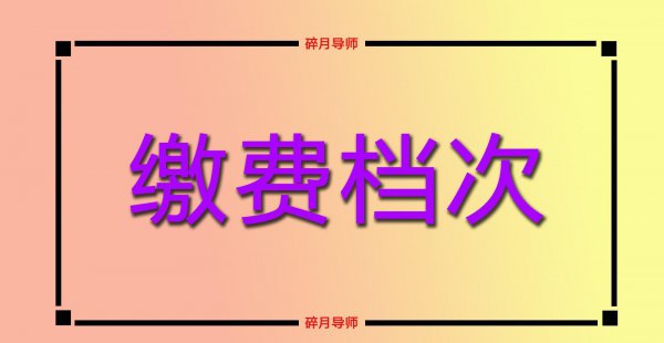 自费社保一年一交还是每月交更划算