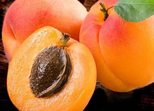 润肺的水果有哪些