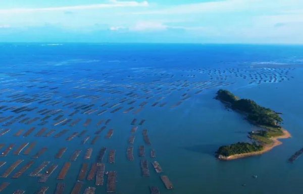 东兴是哪个省的城市