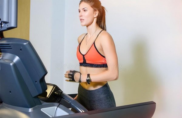 新手去健身房怎么减肥不花钱